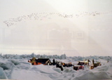 3-225AP1120384.JPG