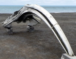 3-233AP1120410.JPG