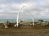 3-233AP1120415.JPG