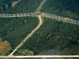 3-241AP1120504.JPG