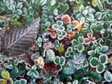 3-245AP1120547.JPG