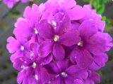 3-258AP1120602.JPG