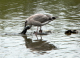 3-276AP1120722.JPG