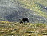 4-289AP1120810.JPG