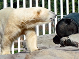 4-354AP1130292.JPG