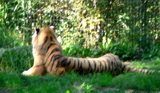 4-364P1130335.JPG