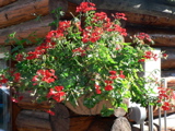4-371AP1130359.JPG