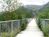 4-377AP1130372.JPG