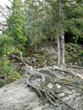 4-399AP1130445.JPG
