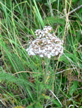 4-399AP1130447.JPG