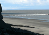 4-387AP1130450.JPG
