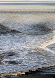 4-390P1130457.JPG