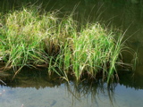 4-403AP1130481.JPG