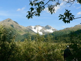4-412AP1130536.JPG