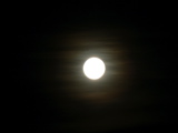 4-417P1130555.JPG