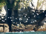 4-426AP1130657.JPG