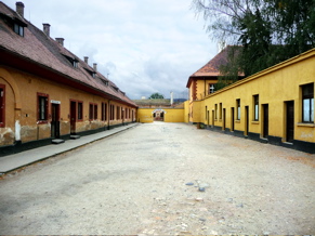 P1010393.JPG