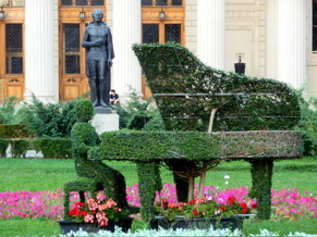 P1000313.JPG
