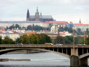 P1010473.JPG