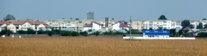 P1000323.JPG
