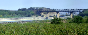 P1000330.JPG