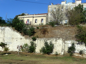 P1000337.JPG