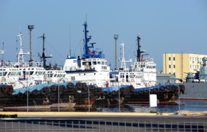 P1000343.JPG