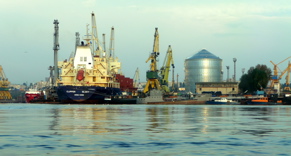 P1000353.JPG