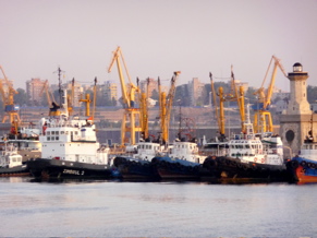 P1000355.JPG