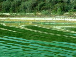 P1000369.JPG