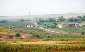 P1000388.JPG