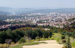 P1000401.JPG