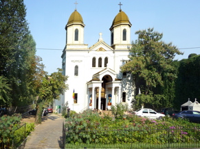 P1000193.JPG