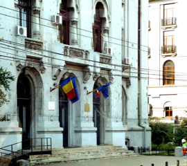 P1000208.JPG