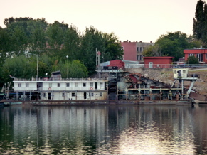 P1000497.JPG