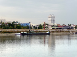 P1000499.JPG