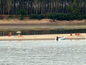 P1000515.JPG