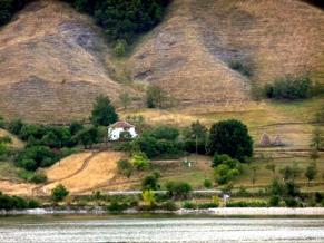 P1000535.JPG