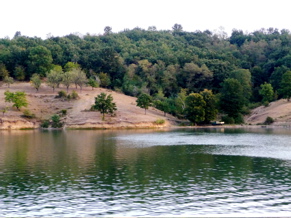 P1000536.JPG