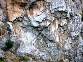 P1000561.JPG