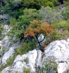 P1000580.JPG