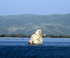P1000613.JPG