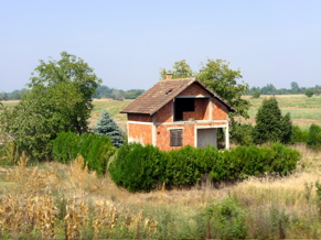 P1000632.JPG