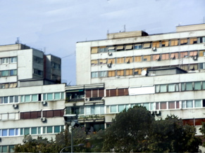 P1000635.JPG