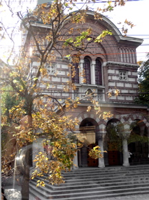 P1000230.JPG