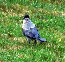 P1000682.JPG
