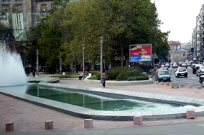 P1000717.JPG