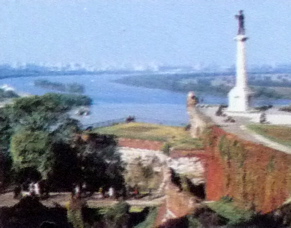 P1010588J