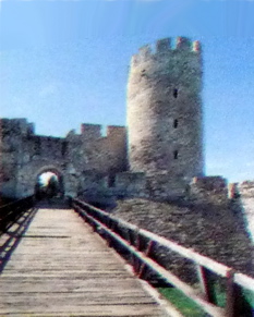 P1010588K