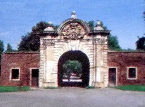 P1010588N